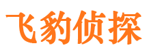 沙河口市婚姻调查